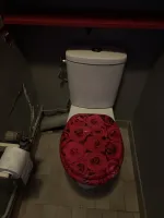 repose du wc.jpg