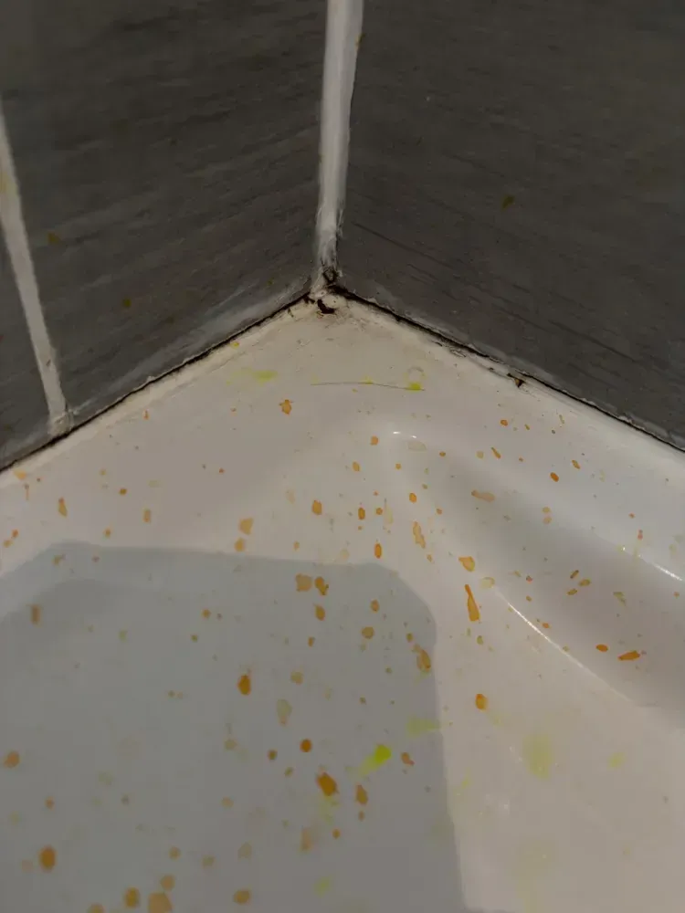 Vérifiez vos joints de douche, baignoire, lavabo et évier – Évitez les infiltrations d’eau !